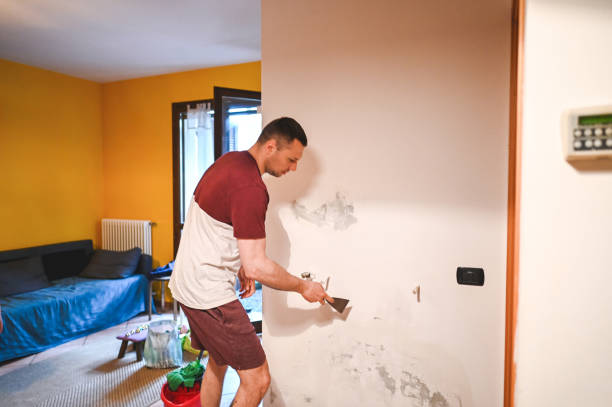 Best DIY Mold Remediation Support Services in Fort Wright, KY